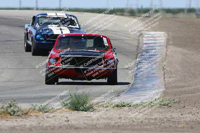 media/May-19-2024-VARA (Sun) [[bc1adde764]]/Group 5/Race (Outside Grapevine)/